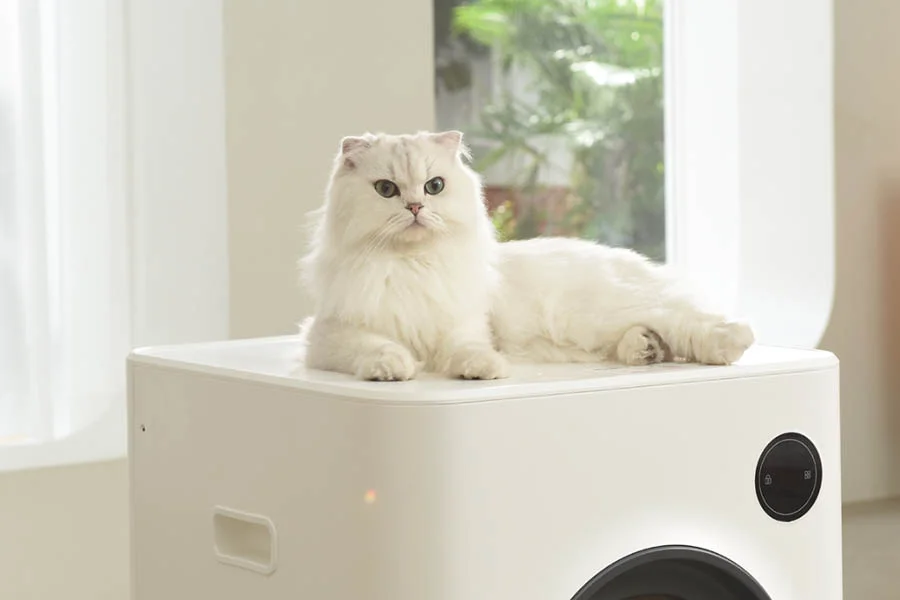 multi cat litter boxes